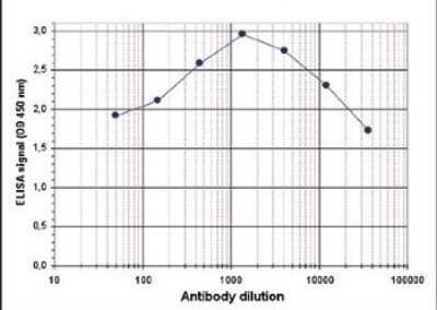 ELISA: Histone H3 [ac Lys9, p Ser10] Antibody [NBP2-59163] - To determine the titer, an ELISA was performed using a serial dilution of the antibody against human H3K9acS10p. The antigen used was a peptide containing the histone modifications of interest. By plotting the absorbance against the antibody dilution, the titer of the antibody was estimated to be 1:89,000.